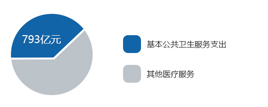 基本公共衛(wèi)生服務(wù)支出金額